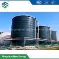 Biogas Digester for Vegetable Waste Treatment